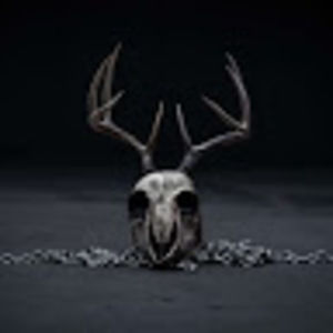 Meet your Posher, Glenn